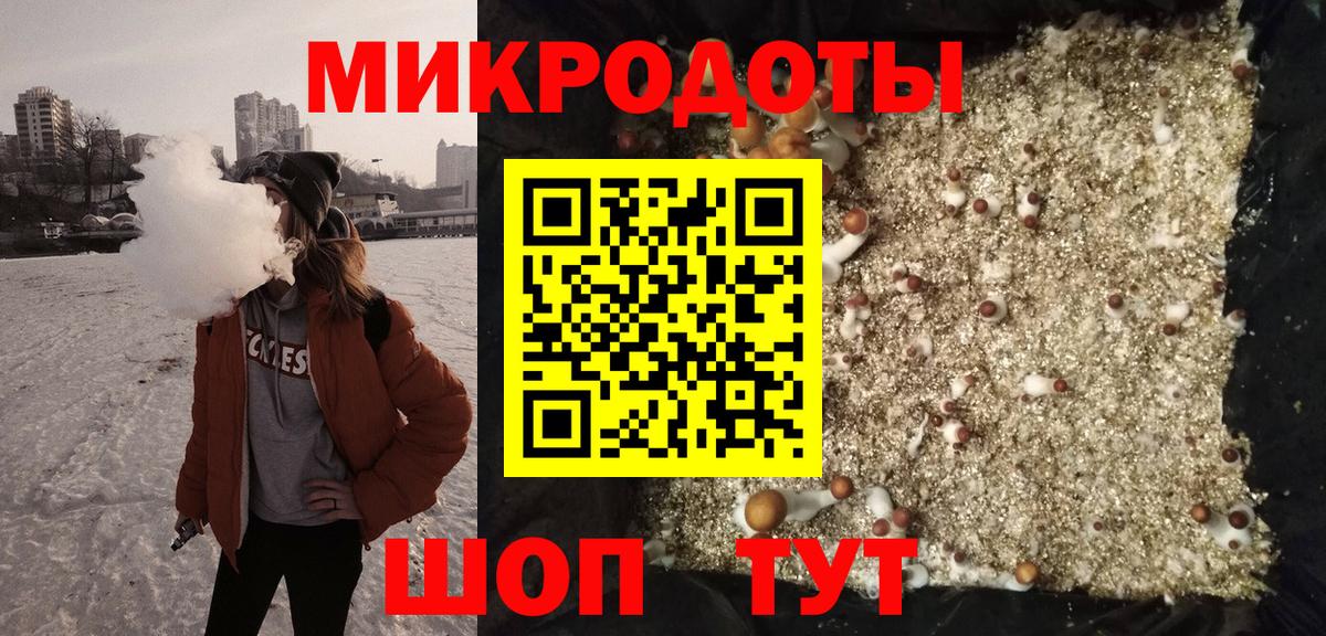 Галлюциногенные грибы Psilocybe Кирово-Чепецк