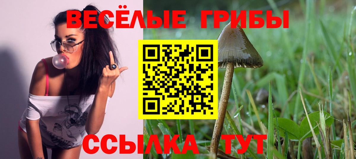 Псилоцибиновые грибы прущие грибы  Псилоцибиновые грибы Magic Shrooms  Кирово-Чепецк  Вход с VPN 